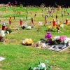 Pet Haven Cemetery & Crematory, California, Gardena