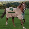 Steinbeck Peninsula Equine Clinics, California, Salinas