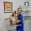 Williamsburg Veterinary Clinic, Virginia, Williamsburg