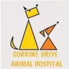 科瑞恩驱动动物医院,佛罗里达,奥兰多