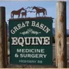 Great Basin Equine Medicine & Surgery, California, Gardnerville