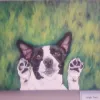 South Davis Veterinary Center, California, Davis