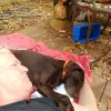 Sweet Dreams In-Home Pet Euthanasia, Georgia, Woodstock