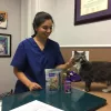 Rice Village Animal Hospital, Texas, Houston