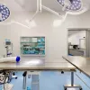 Corona Animal Emergency Center, California, Corona