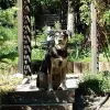 Tail Wag Inn Veterinary Hospital, California, Oakley