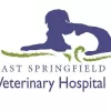 East Springfield Veterinary Hospital, Massachusetts, Springfield