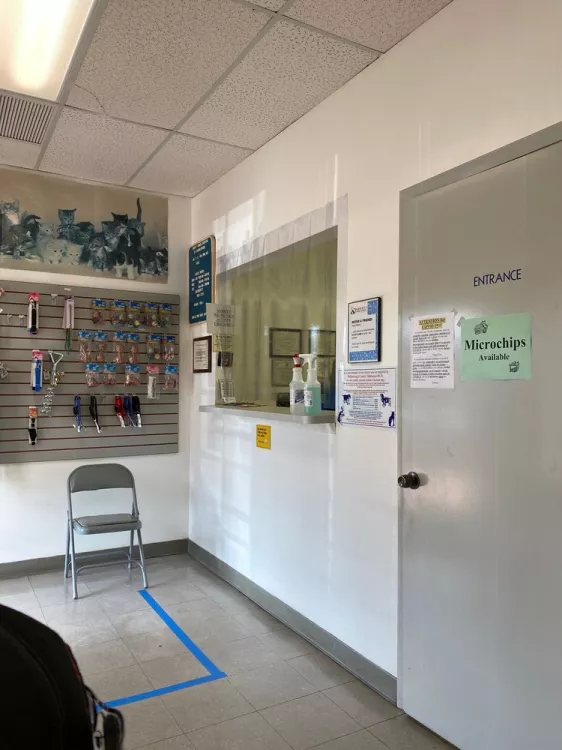 Abbott Animal Hospital - Florida, Tampa | Reviews on thePets