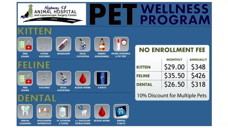 Highway 58 Animal Hospital - Tennessee, Chattanooga | Reviews on thePets