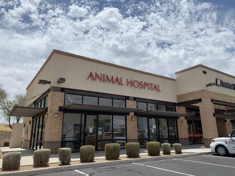 Cornerstone Animal Hospital - Arizona, Gilbert | Reviews on thePets
