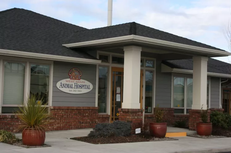 West Main Animal Hospital - Oregon, Medford | Reviews on thePets