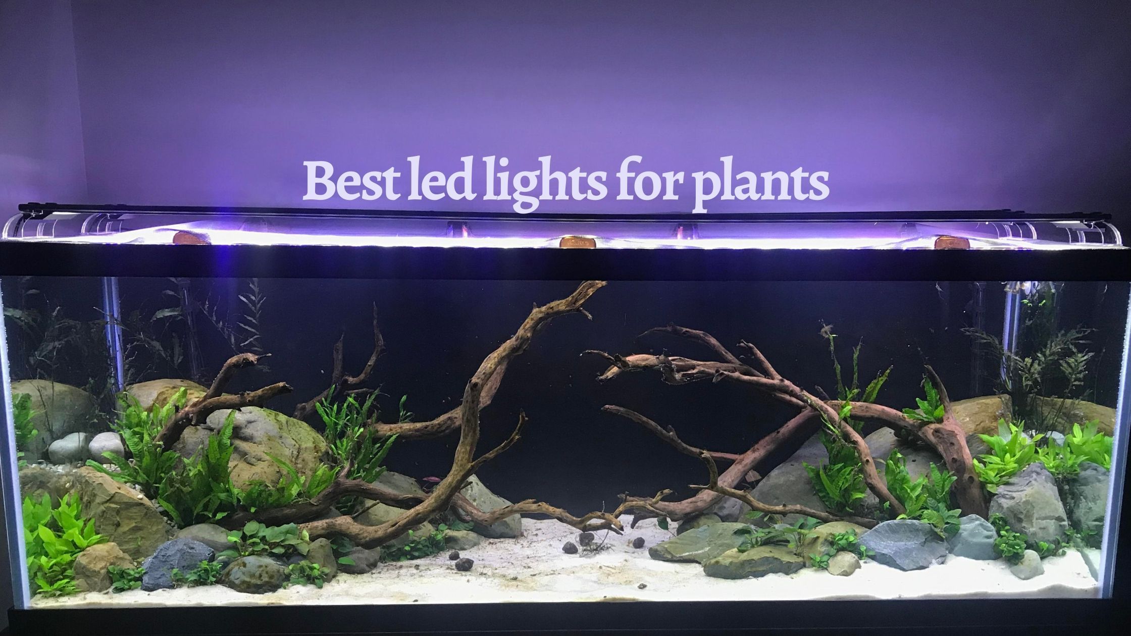 Deluxe LED Aquarium Light 20 24-inch, Full Spectrum Fish Tank Planted Tanks 